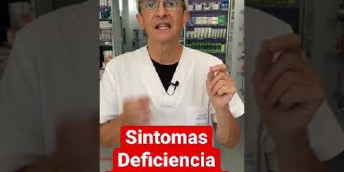 Todo lo que debes saber sobre la planta de la ruda: características, usos y cuidados PlantHouse Dream