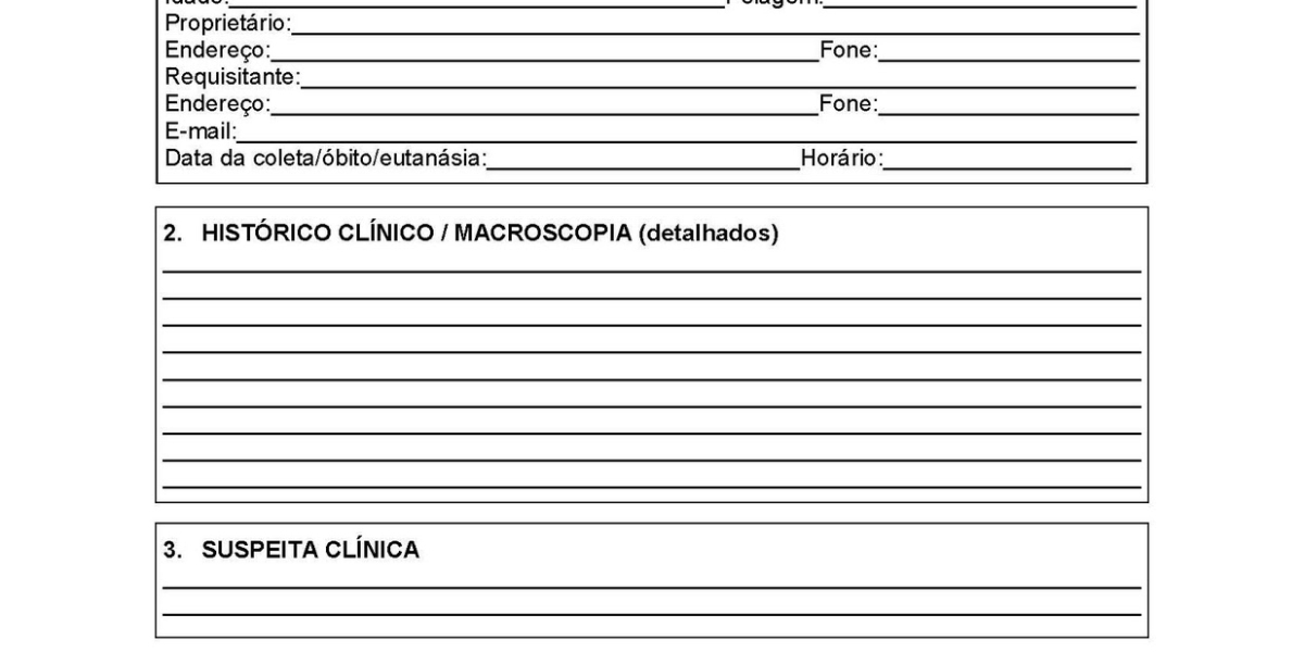 Soplo cardíaco en perros: causas, síntomas y tratamiento