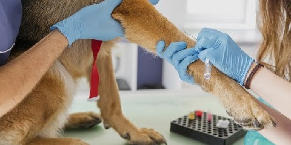 Sistema de radiografía veterinaria móvil Todos los fabricantes de la agricultura