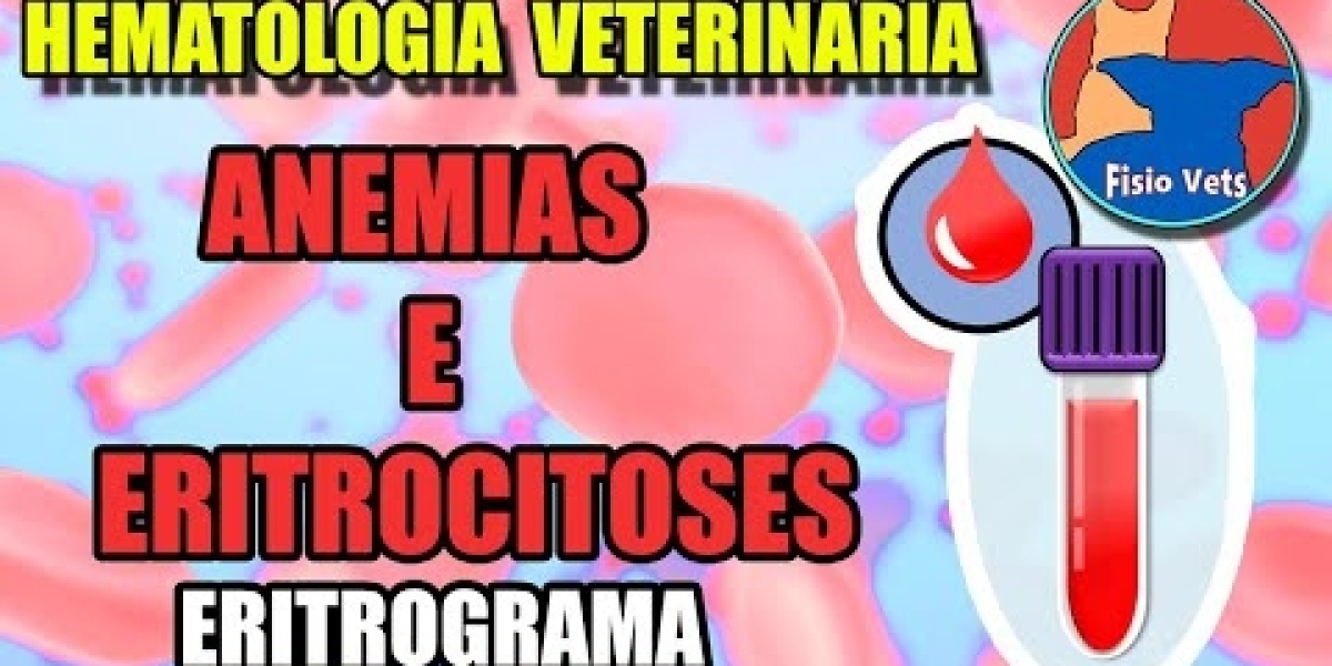 Radiografía para perro: Qué se ve, cuánto cuesta, dudas .. Mascota y Salud