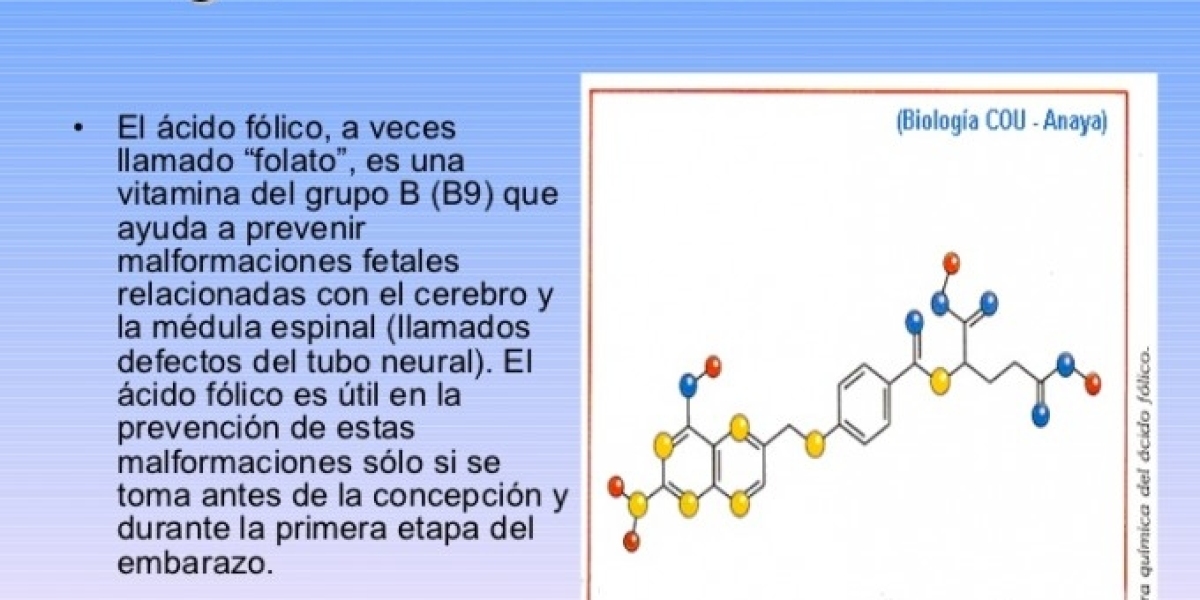 Ácido Fólico: Un Aliado Vital para Tu Salud, Sin Importar Tu Estado Reproductivo