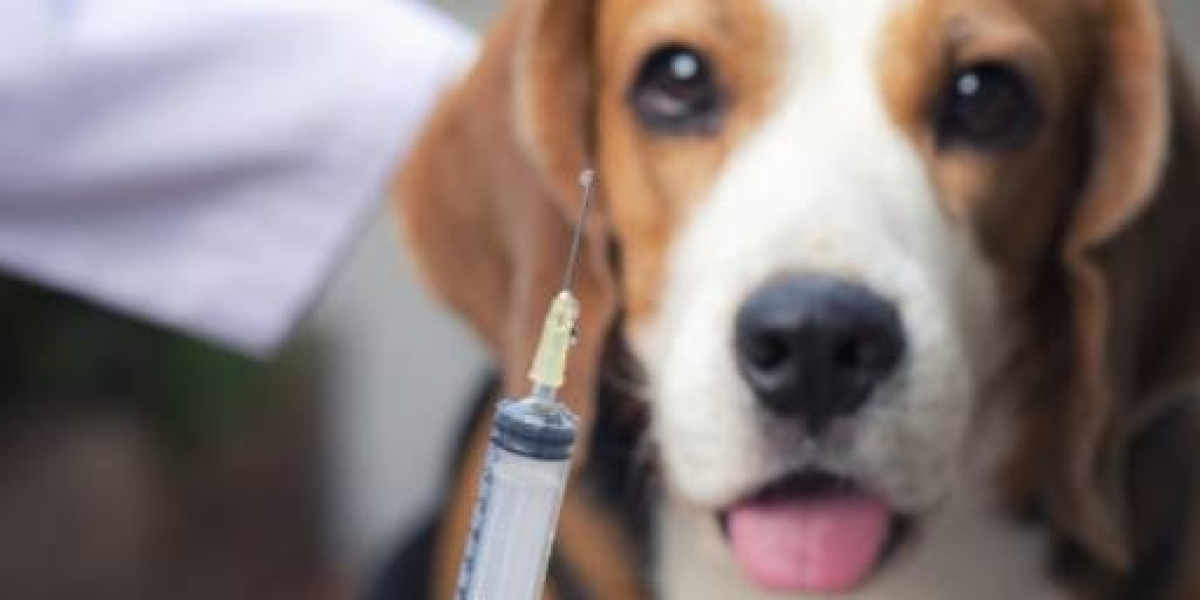 Principios básicos de la radiografía torácica en veterinaria