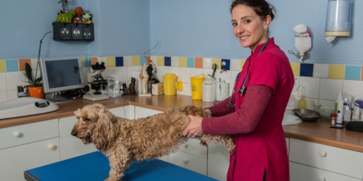 Sistema de radiografía veterinaria Todos los fabricantes de la agricultura